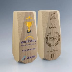 trophee bois facetté